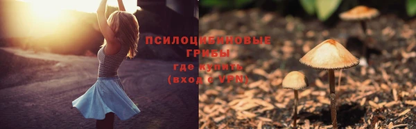 бошки Кулебаки
