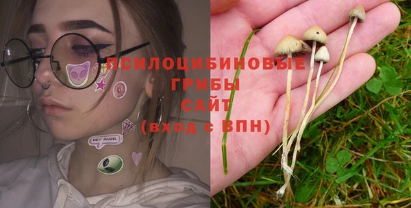 бошки Кулебаки