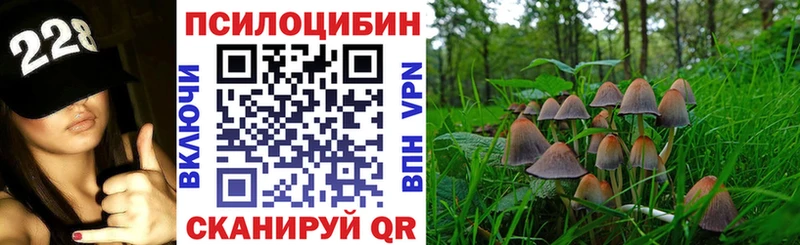 Псилоцибиновые грибы MAGIC MUSHROOMS  гидра сайт  Осташков 