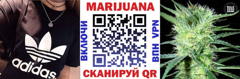 Бошки Шишки планчик  Осташков 
